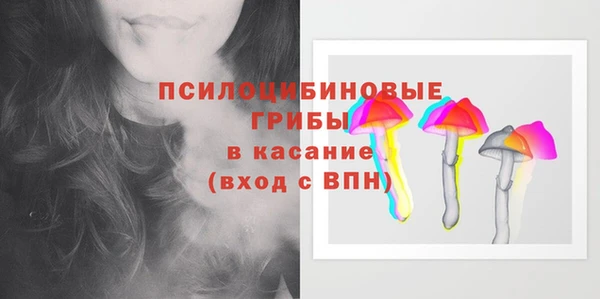 амф Новокубанск
