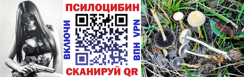 MEGA как войти  Новотроицк  Псилоцибиновые грибы прущие грибы 