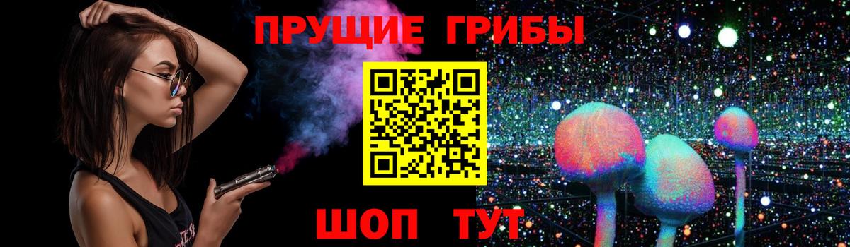 Псилоцибиновые грибы Psilocybe Новотроицк