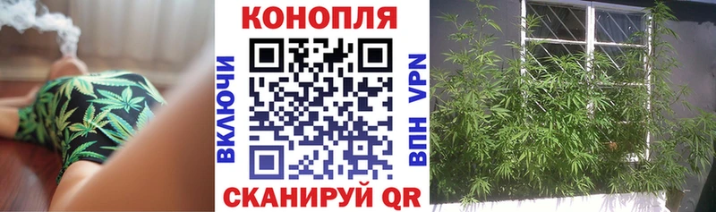 мега зеркало  сколько стоит  Новотроицк  Марихуана конопля 